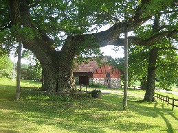 Landerydseken och Smedjan